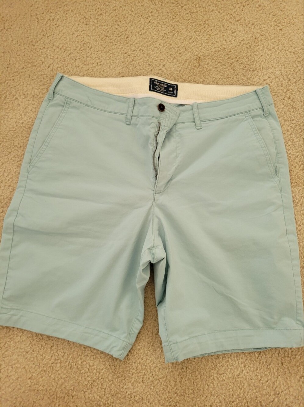 Abercrombie & Fitch Mens Chino Shorts Size 34 Mint Pastel Green Flat Front